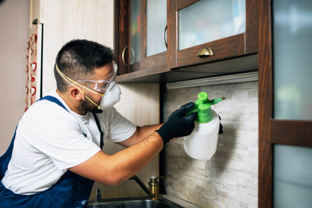 Best Mosquito Control Services  in Cedar Mill, OR