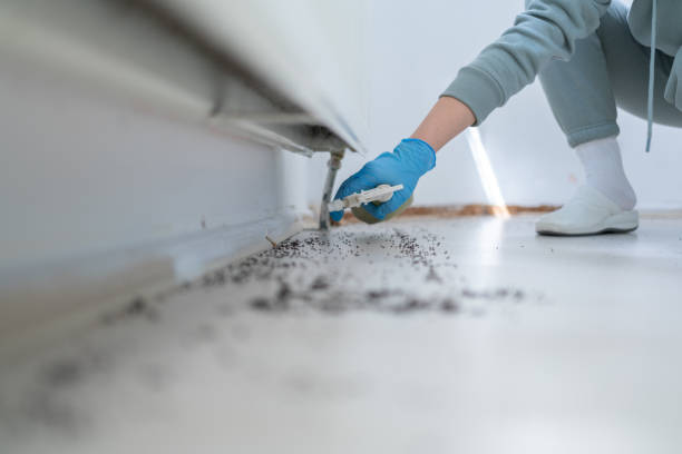 Best Local Pest Control Services  in Cedar Mill, OR